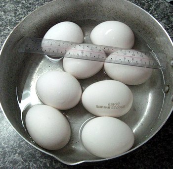 白の鶏卵８個