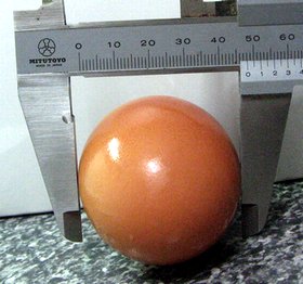 卵サイズを計測