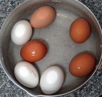 ゆで卵を水冷１回